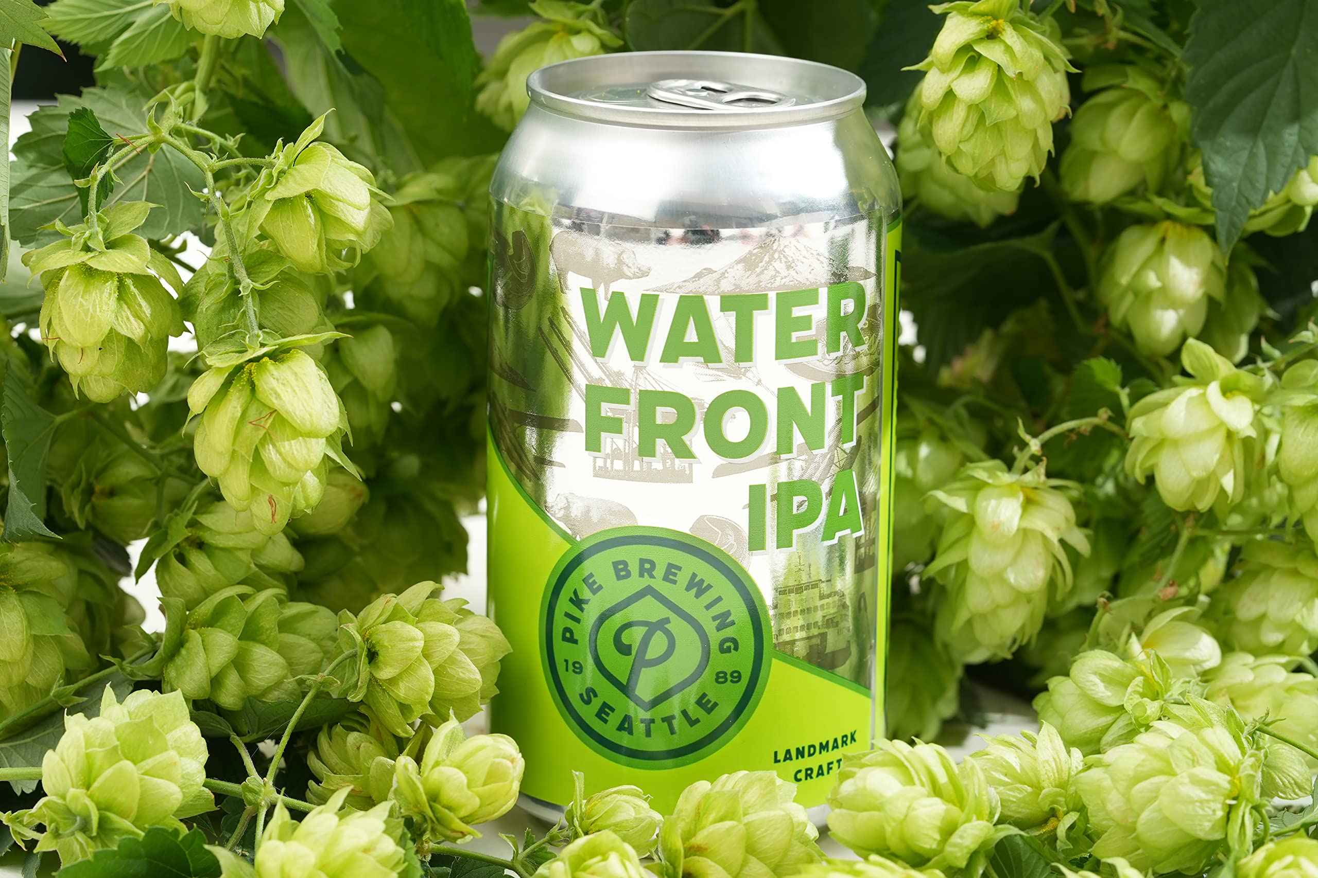 Amazon.co.jp: パイク ウォーターフロント355ml×24本 (PIKE WATERFRONT